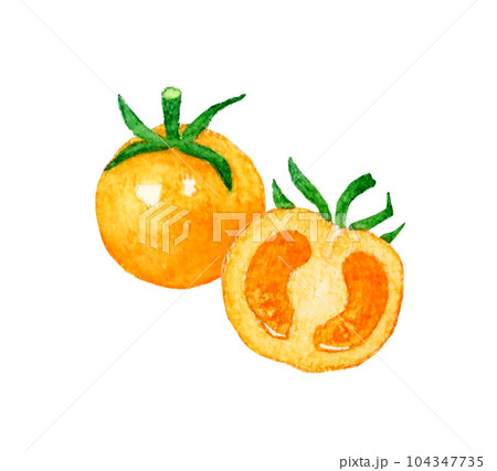 オレンジ色のプチトマト 夏野菜の手描き水彩イラスト素材 オレンジ色のプチトマト 夏野菜の手描き水彩イラスト素材 104347735