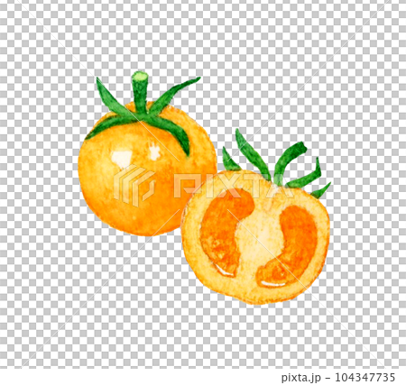 オレンジ色のプチトマト 夏野菜の手描き水彩イラスト素材 オレンジ色のプチトマト 夏野菜の手描き水彩イラスト素材 104347735