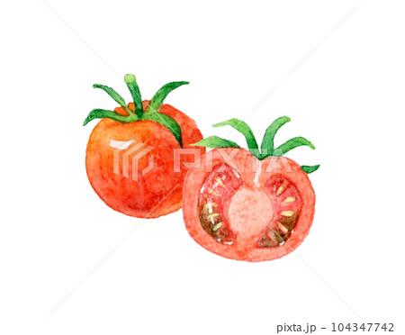 半分にカットした赤色のプチトマト　夏野菜の手描き水彩イラスト素材 104347742