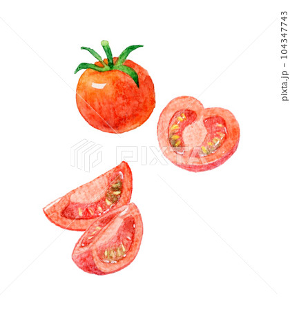 半分にカットした赤色のプチトマト 夏野菜の手描き水彩イラスト素材の