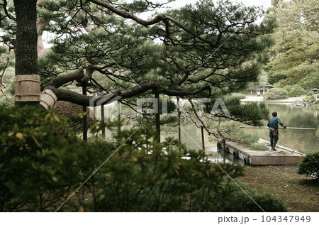 清澄庭園 黒松と庭師 清澄庭園 黒松と庭師 104347949
