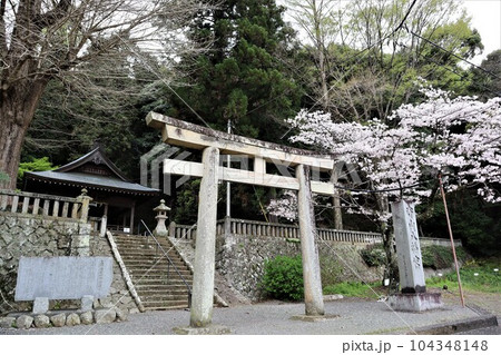 守山八幡宮 守山八幡宮 104348148