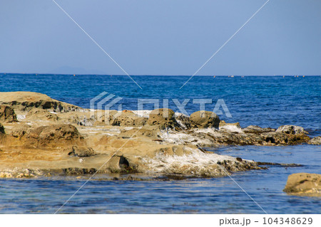 石見畳ケ浦 104348629