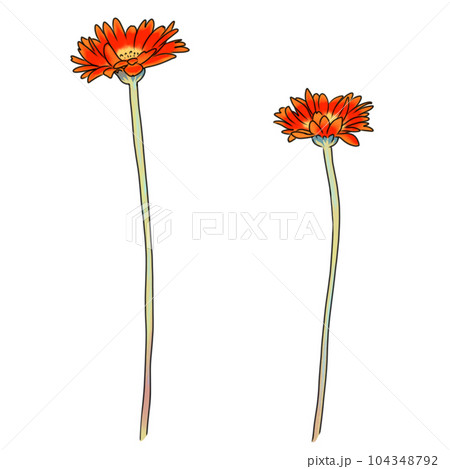 レトロな少女漫画風イラスト　花 104348792