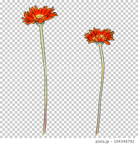 レトロな少女漫画風イラスト　花 104348792