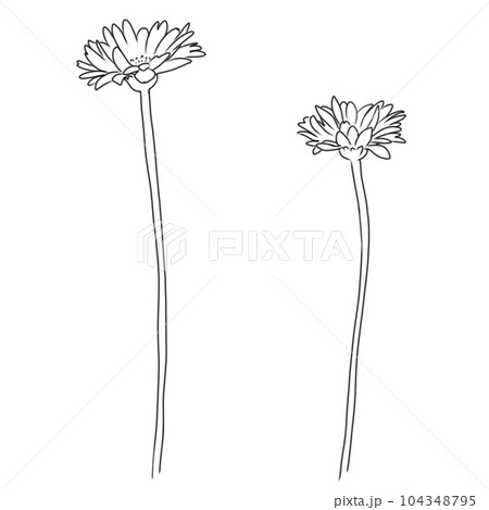 レトロな少女漫画風イラスト　花 104348795