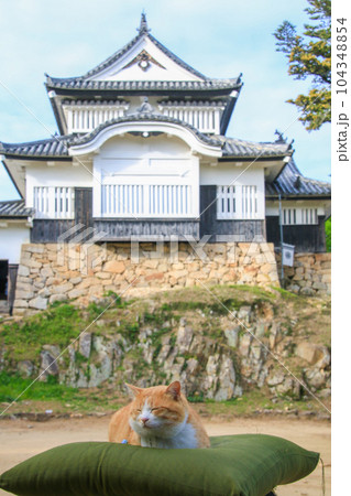 備中松山城 104348854