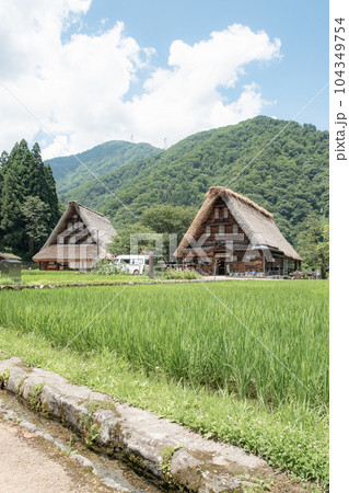 五箇山・菅沼合掌造り集落（夏） 104349754