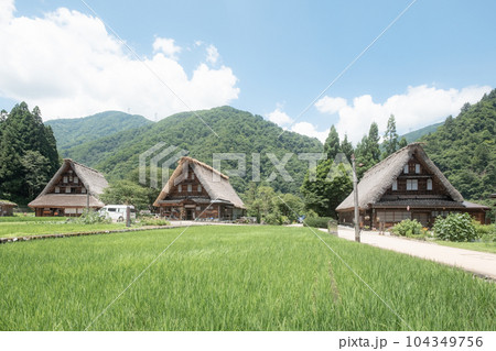 五箇山・菅沼合掌造り集落(夏) 五箇山・菅沼合掌造り集落(夏) 104349756