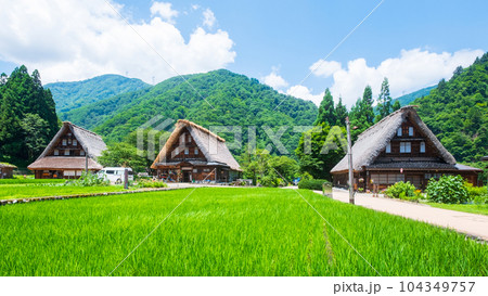 五箇山・菅沼合掌造り集落（夏） 104349757