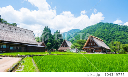 五箇山・菅沼合掌造り集落(夏) 五箇山・菅沼合掌造り集落(夏) 104349775