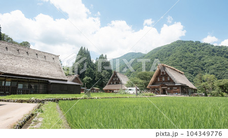 五箇山・菅沼合掌造り集落（夏） 104349776