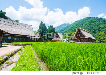 五箇山・菅沼合掌造り集落（夏） 104349838