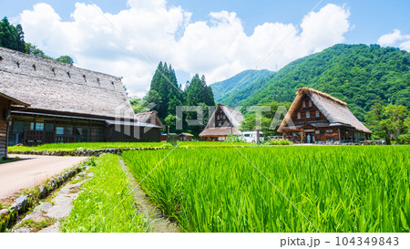 五箇山・菅沼合掌造り集落（夏） 104349843