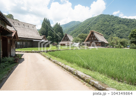 五箇山・菅沼合掌造り集落(夏) 五箇山・菅沼合掌造り集落(夏) 104349864