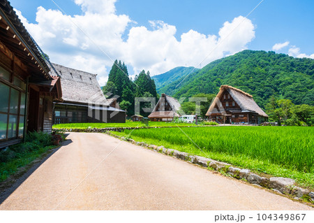 五箇山・菅沼合掌造り集落（夏） 104349867