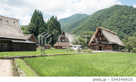 五箇山・菅沼合掌造り集落（夏） 104349910