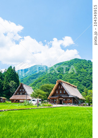 五箇山・菅沼合掌造り集落(夏) 五箇山・菅沼合掌造り集落(夏) 104349915