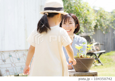 イチゴを育てる親子の写真 イチゴを育てる親子の写真 104350742