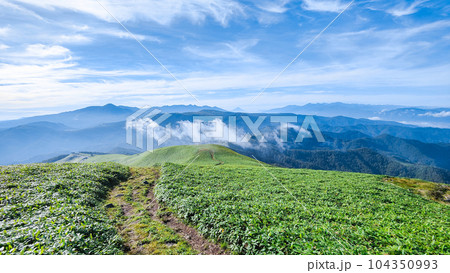 夏の三峰山トレッキング(山頂から八ヶ岳・富士山・南アルプス方面の眺め) 夏の三峰山トレッキング(山頂から八ヶ岳・富士山・南アルプス方面の眺め) 104350993