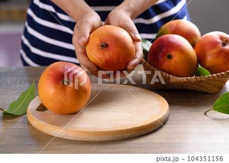 Ripe Mango fruit (Tommy Atkins) with woman hand prepare for cooking, Tropical fruit 104351156