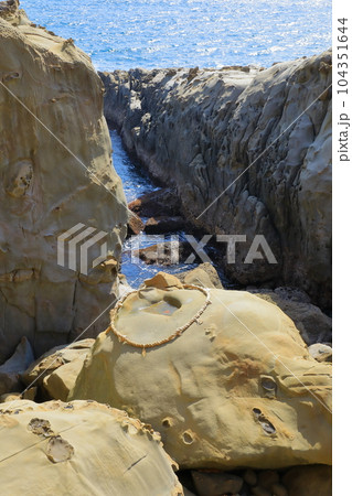 宮崎県　鵜戸神宮　霊石亀石 104351644