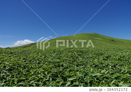 ビーナスラインの三峰山 104352172