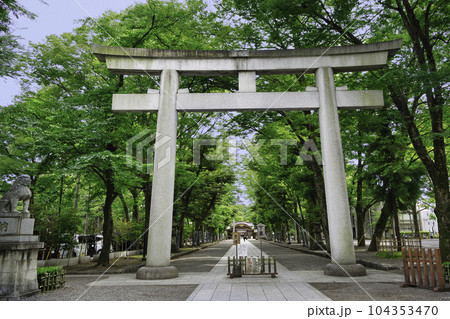 東京都　大國魂神社（おおくにたまじんじゃ）大鳥居 104353470