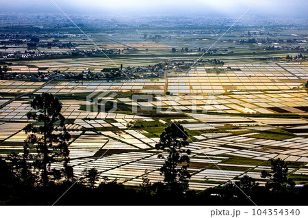 蓋沼森林公園から俯瞰する春早朝の会津盆地田園風景(福島県会津美里町、5月下旬) 104354340