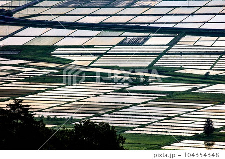 蓋沼森林公園から俯瞰する春早朝の会津盆地田園風景(福島県会津美里町、5月下旬) 蓋沼森林公園から俯瞰する春早朝の会津盆地田園風景(福島県会津美里町、5月下旬) 104354348