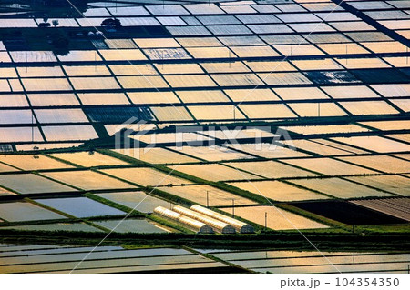 蓋沼森林公園から俯瞰する春早朝の会津盆地田園風景(福島県会津美里町、5月下旬) 蓋沼森林公園から俯瞰する春早朝の会津盆地田園風景(福島県会津美里町、5月下旬) 104354350