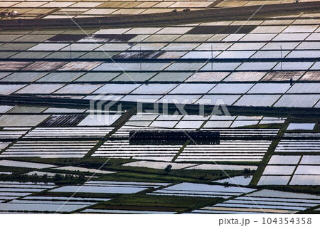 只見線　蓋沼森林公園から望む会津盆地を走る列車(福島県会津美里町、5月下旬早朝) 104354358
