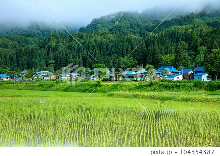 奥会津の田園地帯を走る只見線の列車キハE120形(福島県金山町、6月中旬午前) 104354387