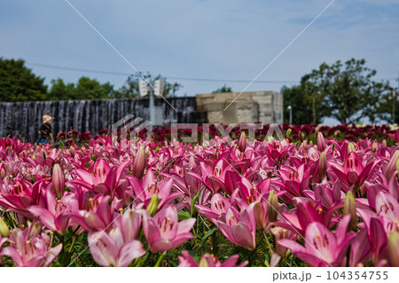 ゆりの里公園 104354755