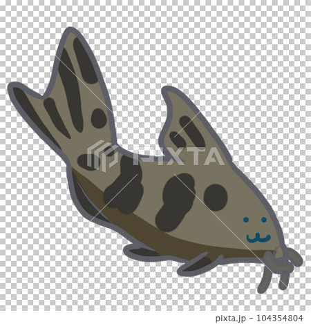 黒コリドラス？ 104354804