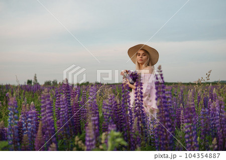 A beautiful woman in a straw hat walks in a field with purple flowers. A walk in nature in the lupin field A beautiful woman in a straw hat walks in a field with purple flowers. A walk in nature in the lupin field 104354887