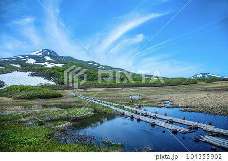 竜ヶ原湿原と鳥海山 104355902
