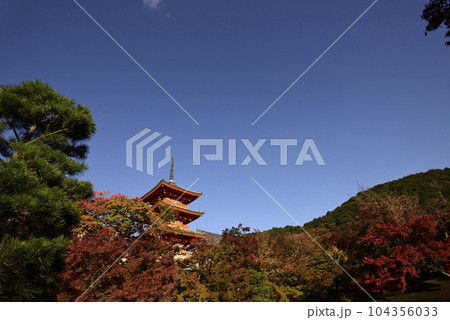 清水寺　三重塔 104356033