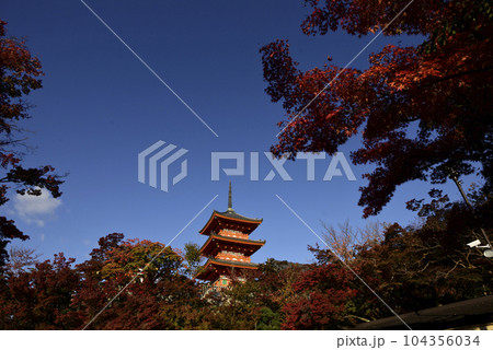 清水寺 三重塔 清水寺 三重塔 104356034