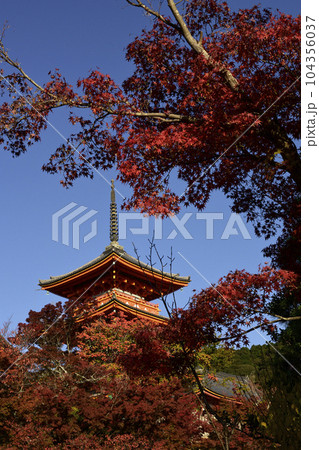 清水寺 三重塔 清水寺 三重塔 104356037
