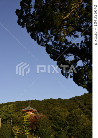 清水寺 三重塔 清水寺 三重塔 104356042