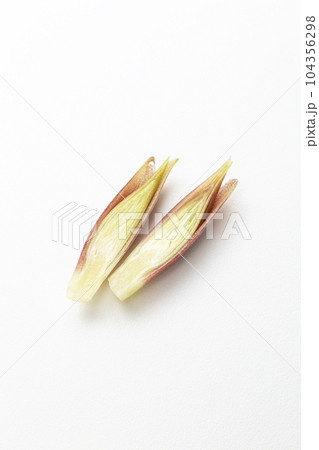 カットした茗荷　白バック 104356298