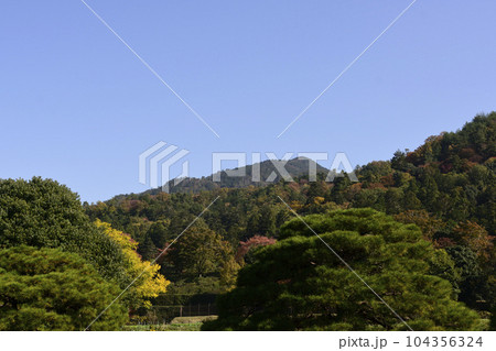 修学院離宮　松並木と田園風景 104356324