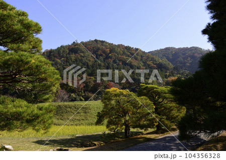 修学院離宮 松並木と田園風景 修学院離宮 松並木と田園風景 104356328