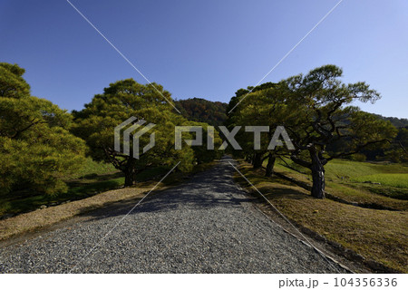 修学院離宮　松並木と田園風景 104356336