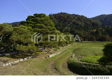 修学院離宮 松並木と田園風景 修学院離宮 松並木と田園風景 104356340
