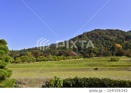 修学院離宮 松並木と田園風景 修学院離宮 松並木と田園風景 104356342