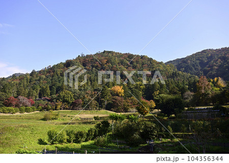 修学院離宮　松並木と田園風景 104356344