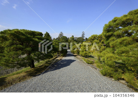 修学院離宮　松並木と田園風景 104356346