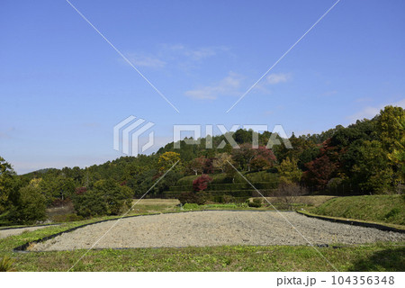 修学院離宮 松並木と田園風景 修学院離宮 松並木と田園風景 104356348